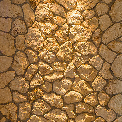 琉球石灰岩の写真